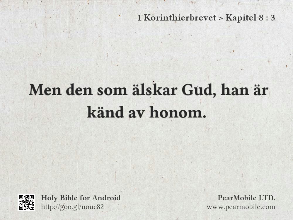 1 Korinthierbrevet, Kapitel 8:3